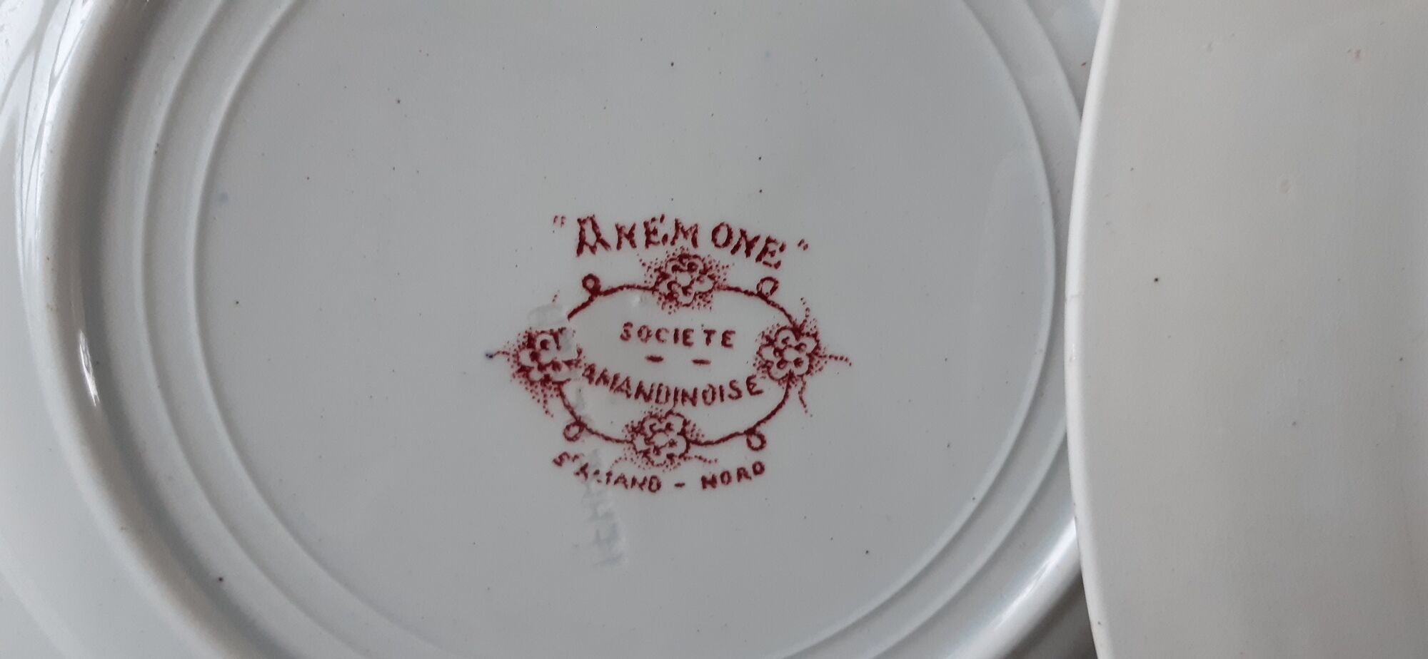 Set of 6 hollow plates Terre de Fer XIXth Saint Amand "Campanule" "Anémone"