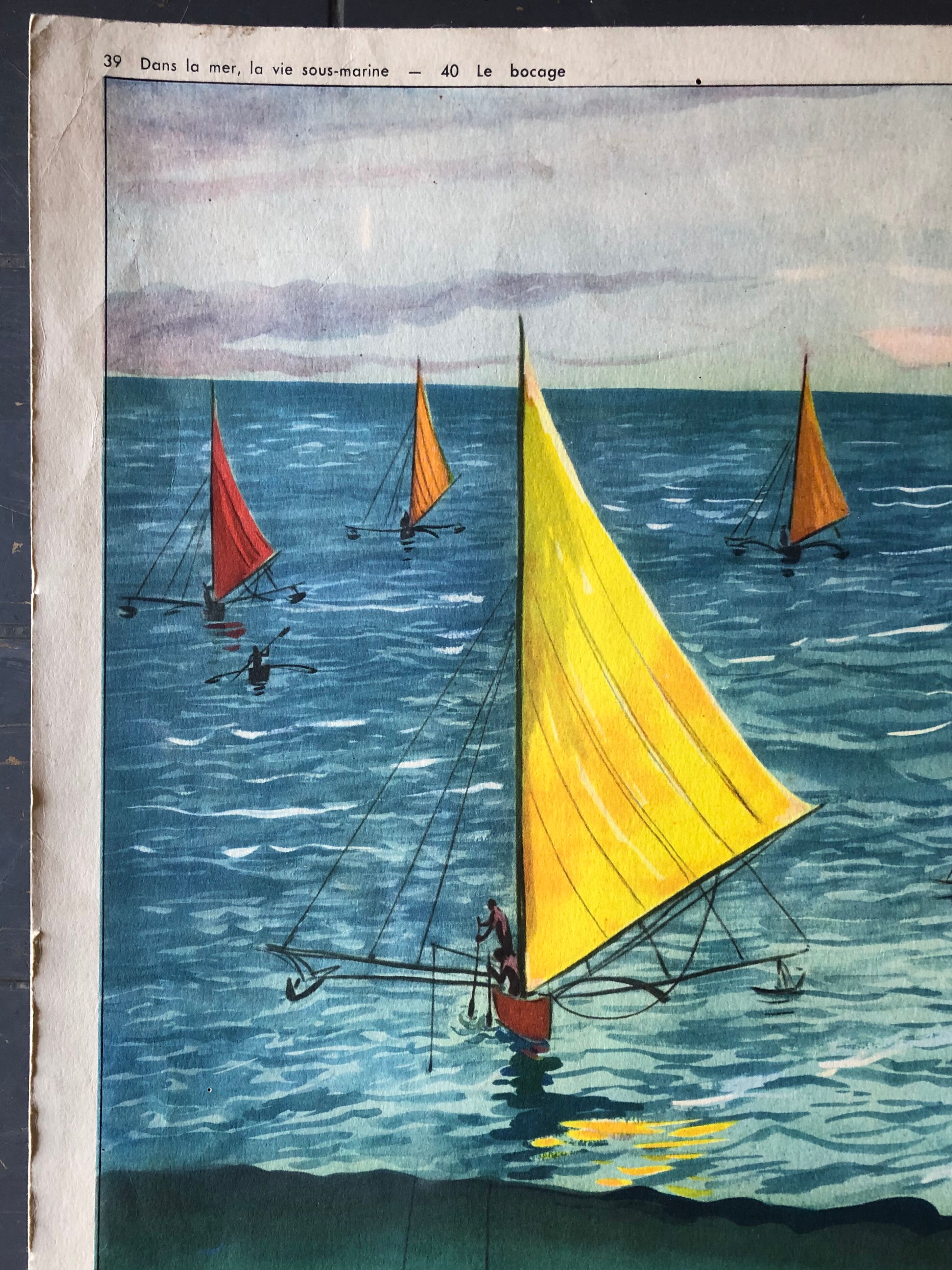 Ancient pedagogical poster