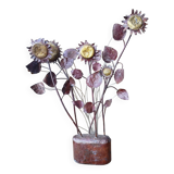 Sunflower structure – 1970s