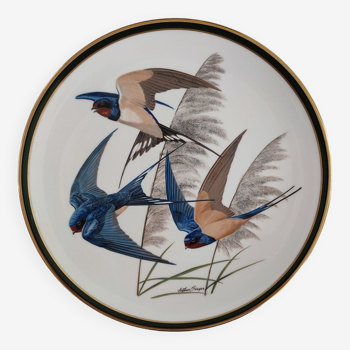 Porcelain plate, hirundo rustica