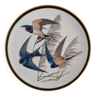 Porcelain plate, hirundo rustica