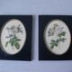 Set of 2 old frames with oval decoration floral flowers medallion style