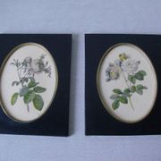 Set of 2 old frames with oval decoration floral flowers medallion style