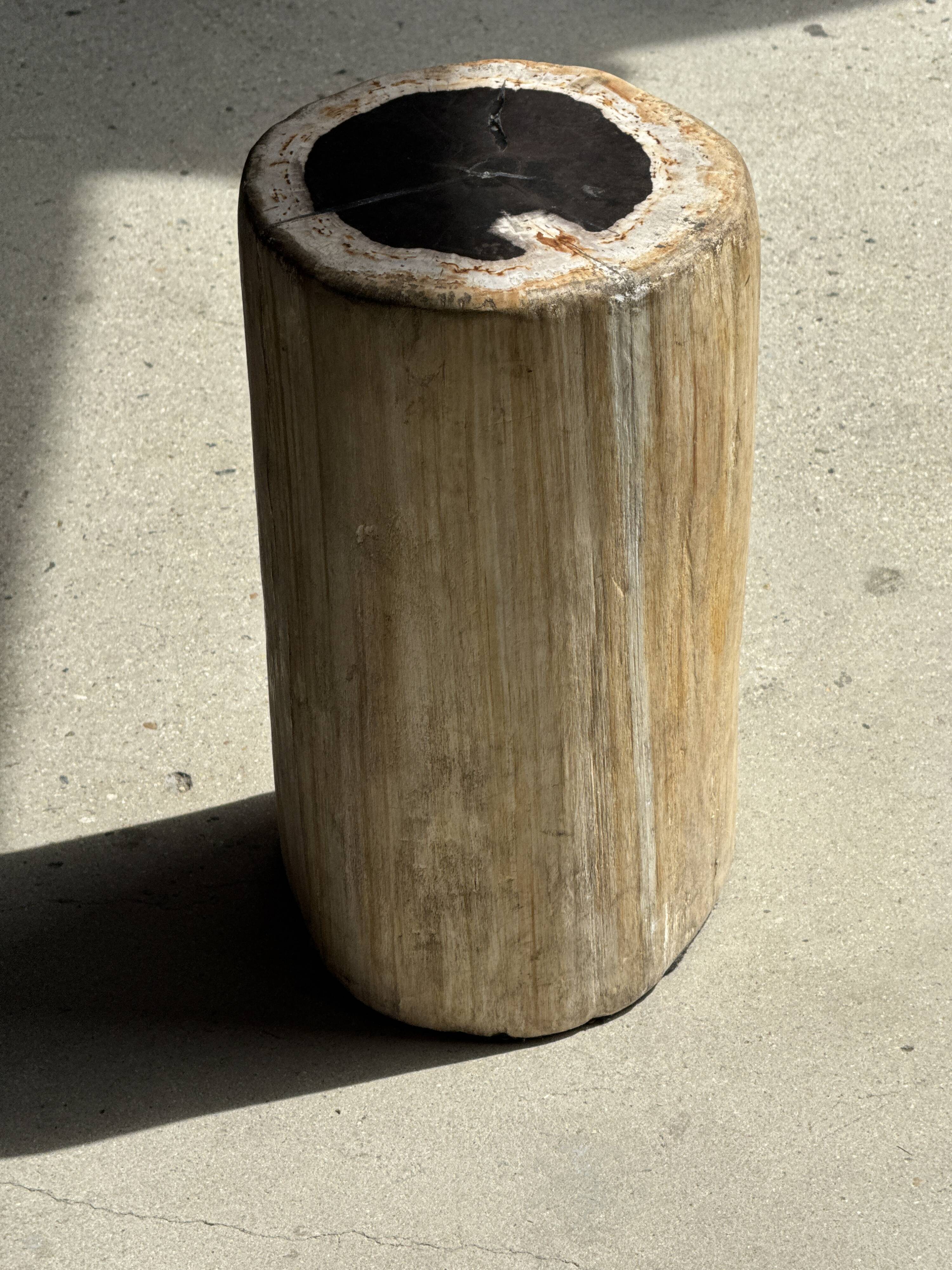 Table d'appoint en bois pétrifié, écorce blanche