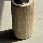 Petrified wood side table, white bark
