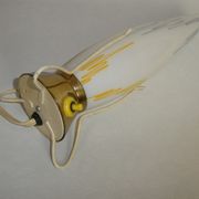 Lampe Space Age Rocket par Leoš Nikel