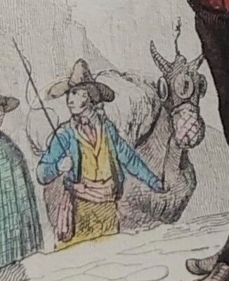 Original zoological plate "zebra & mule" - buffon 1840