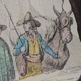 Original zoological plate "zebra & mule" - buffon 1840