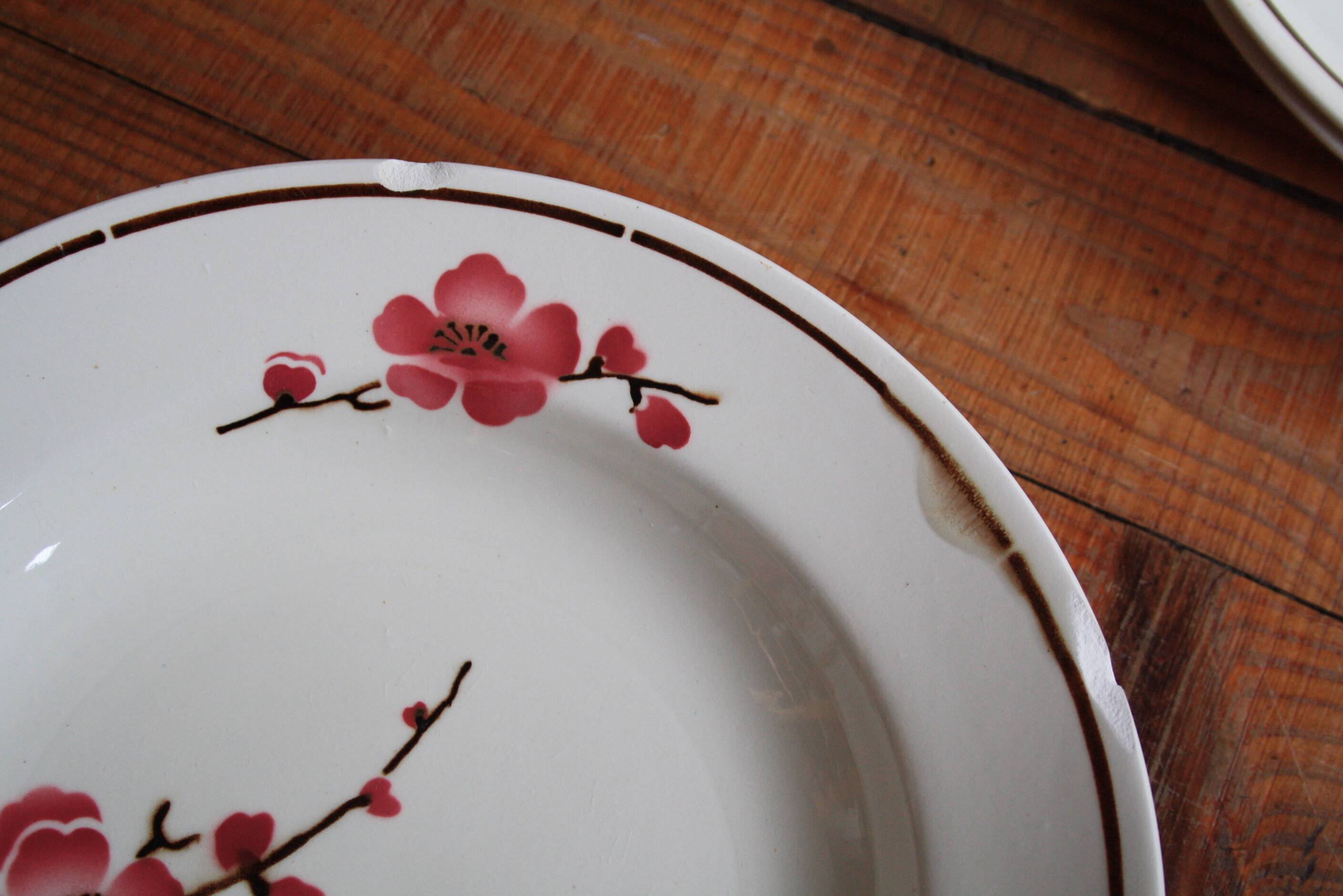 Set of 6 Terre de Fer St Amand "cherry" deep plates