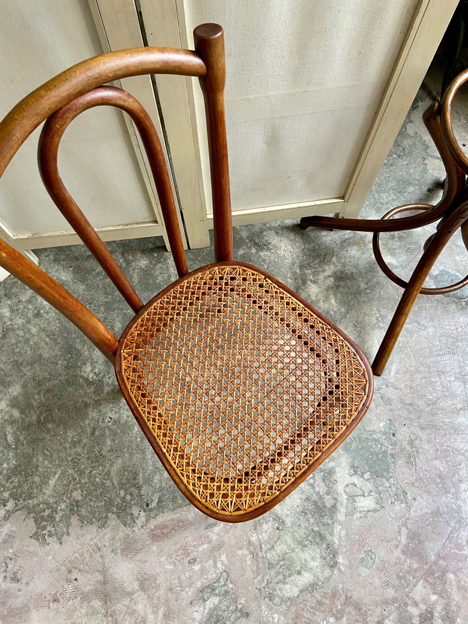 Chair 56 in arched beech and canning by Michael Thonet for Thonet Wien