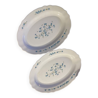 Arcopal forget-me-not oval dishes