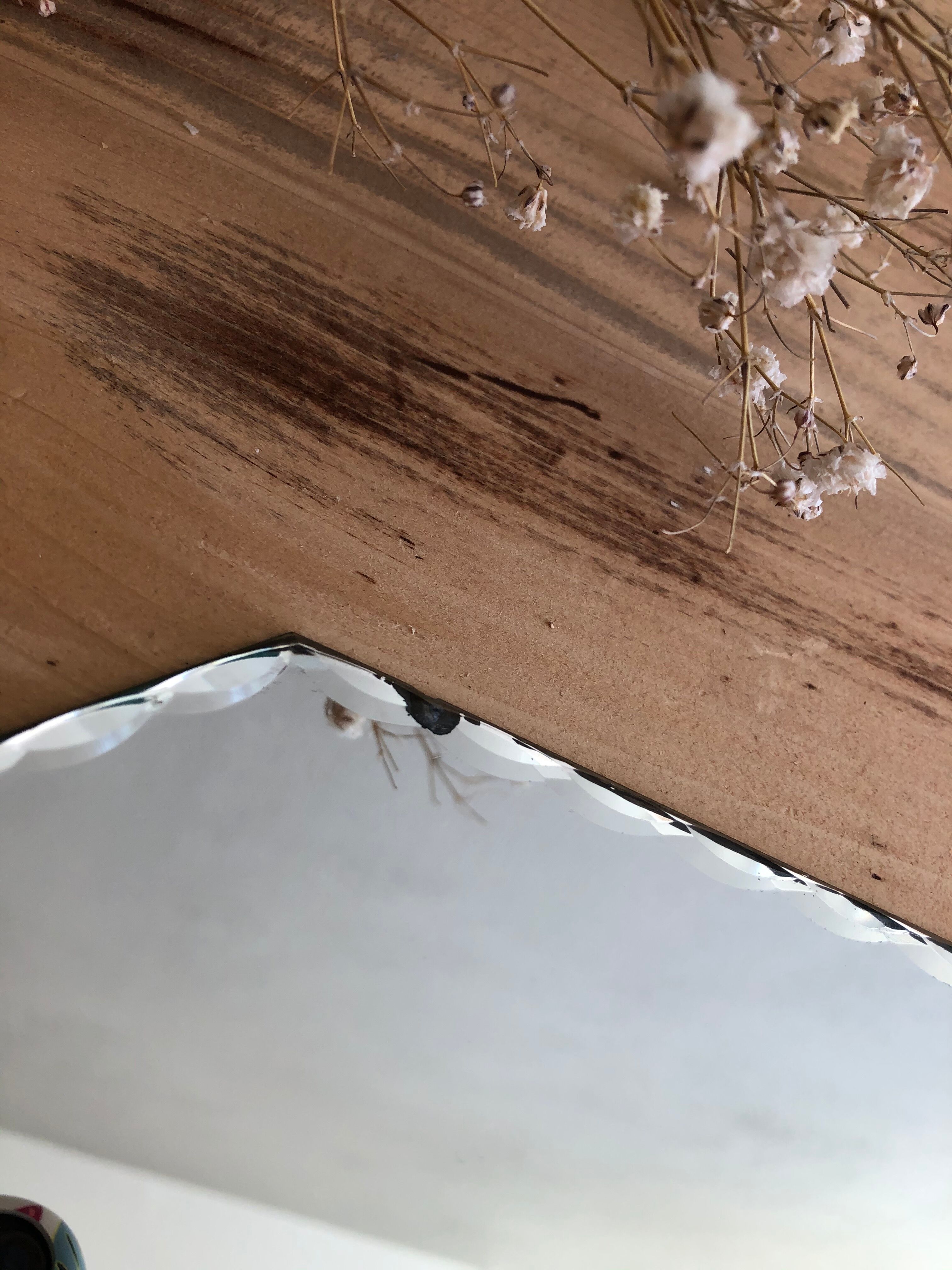 Octagonal bevelled mirror - 31 x 24 cm