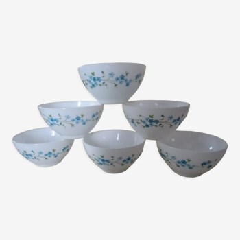 6 bowls veronica Arcopal décor blue flowers