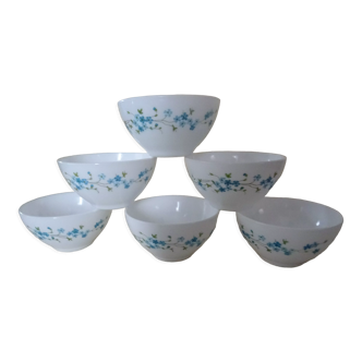 6 bowls veronica Arcopal décor blue flowers