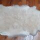 New sheepskin