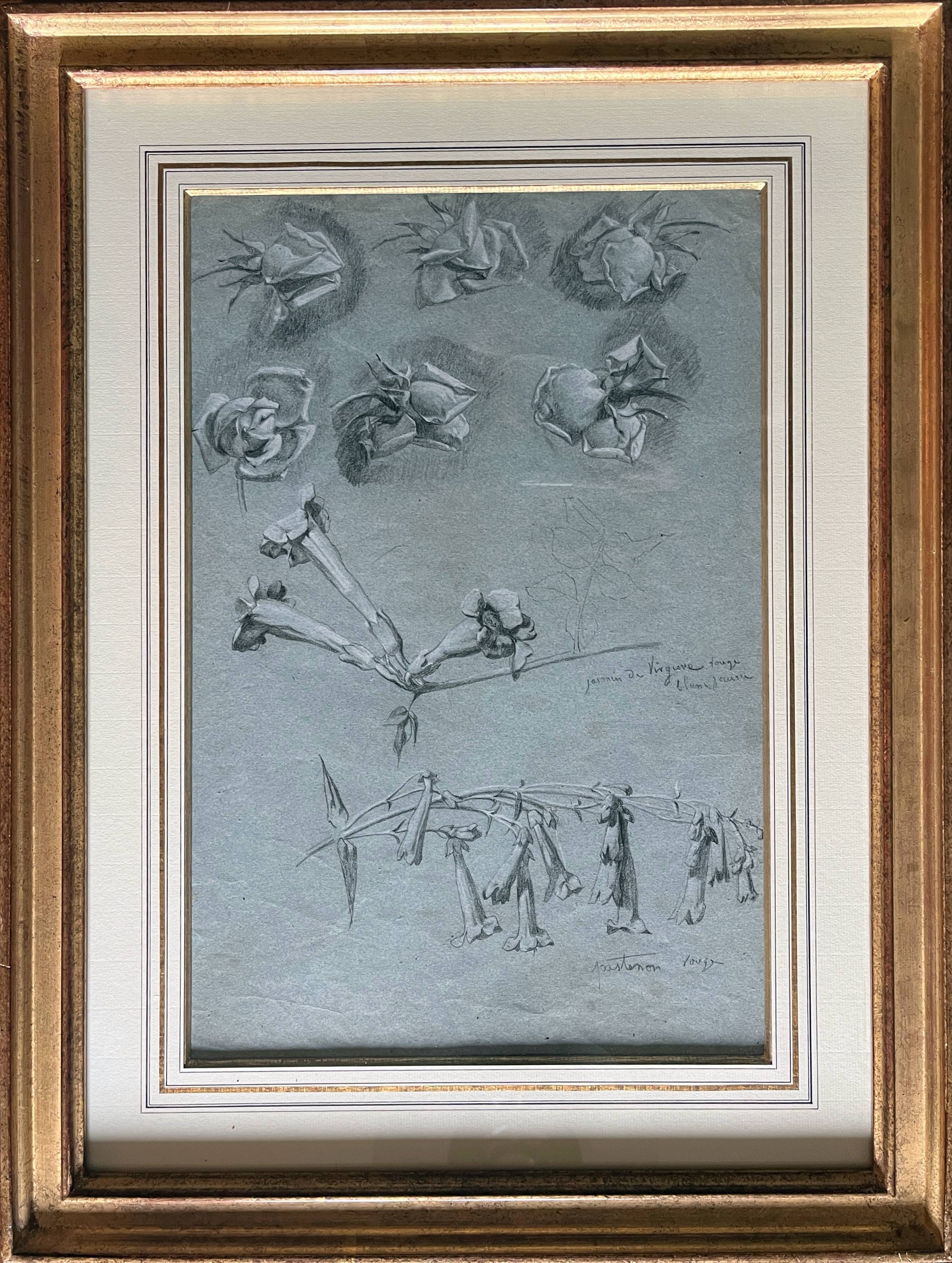 Painting Botanical flower studies Roses Jasmine 19th century + frame