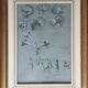 Painting Botanical flower studies Roses Jasmine 19th century + frame