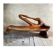 Banc sculptural en bois massif