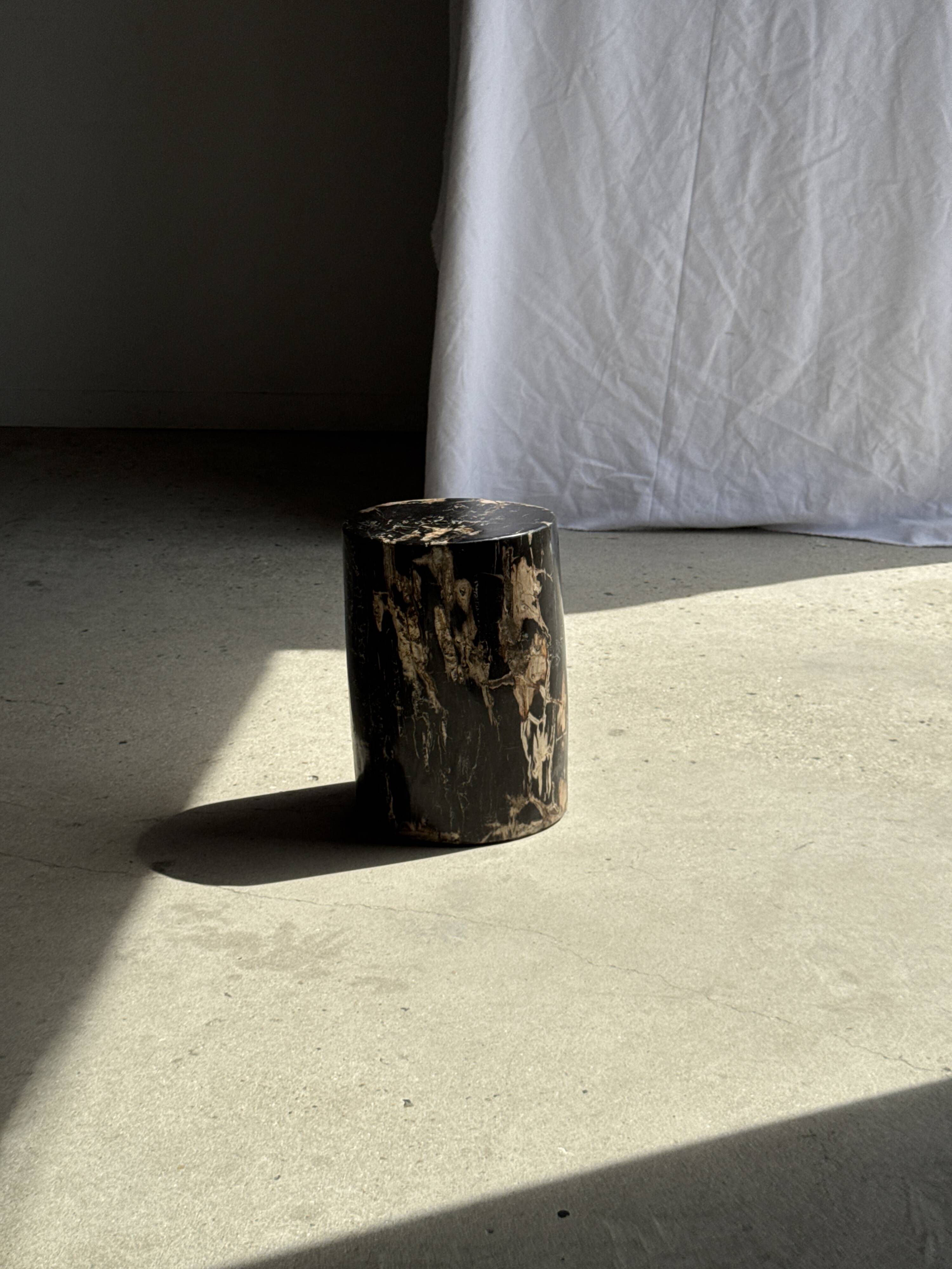 Black petrified wood side table with beige side H35 D24 - 3352