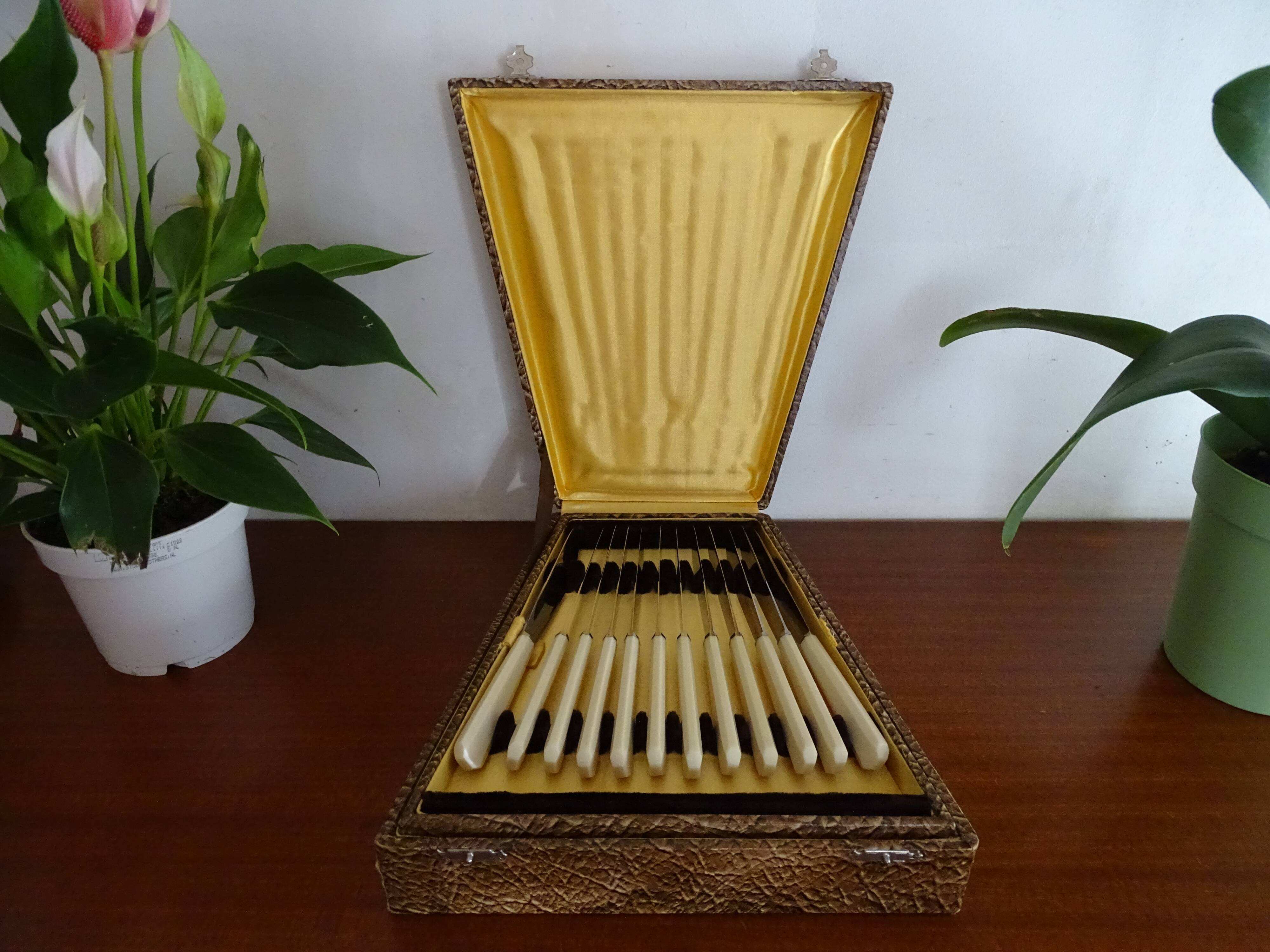 24 Art Deco knives Apollonox bakelite and stainless steel handles in case