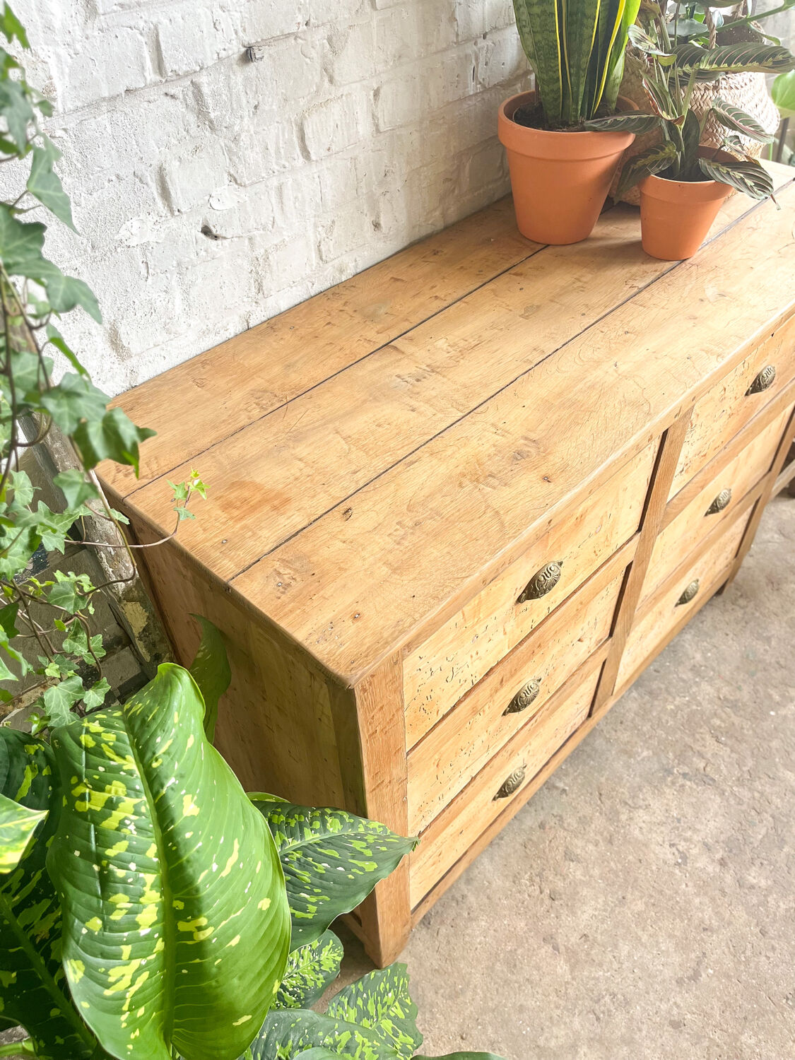 Old haberdashery furniture