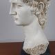 Large vintage bust "David" by Michelangelo