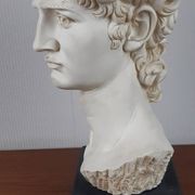 Large vintage bust "David" by Michelangelo