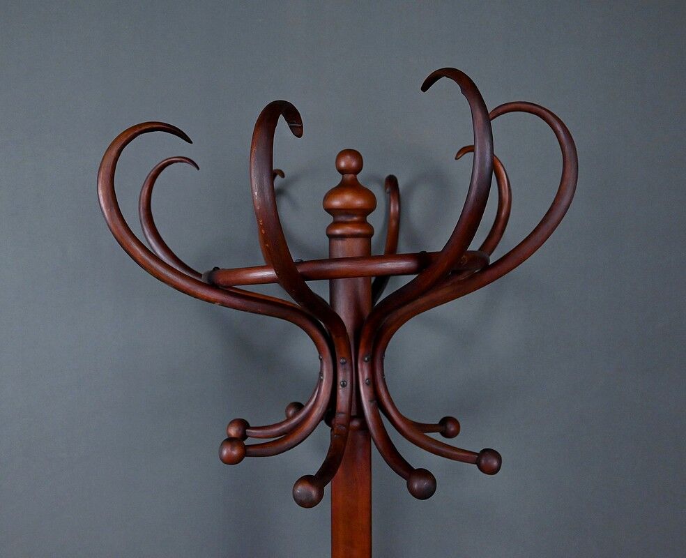 Large curved beech coat rack in the Thonet style – early 20th century