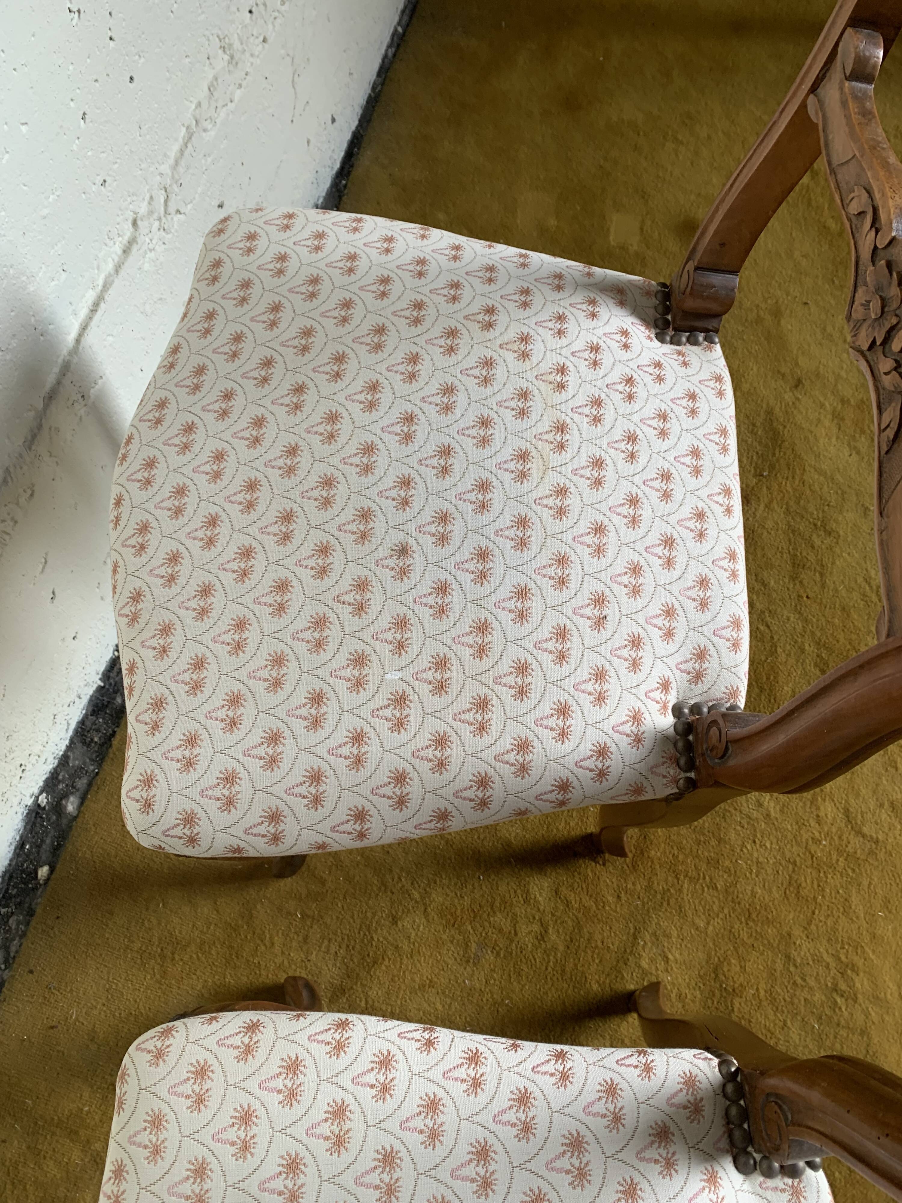 Duo de chaises à décor fleuri
