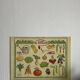 Cardboard poster illustrated around gardening, vintage
