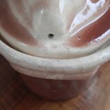 Terracotta terrine