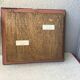 Vintage naturalized butterflies frame - cabinet of curiosities - taxidermy