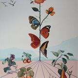Salvador Dali: Flordali II, The Butterfly Rose - Original signed lithograph