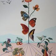 Salvador Dali : Flordali II, La rose papillon - Lithographie originale signée