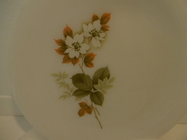 Vintage arcopal plates