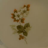 Vintage arcopal plates