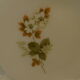 Vintage arcopal plates