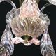 Liz Taylor, Iridiscent Pink Murano Glass Chandelier, 1980s