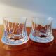 Duo of whiskey glasses