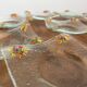Art glass tea light holders or plates, fused glass with bright rainbow colours