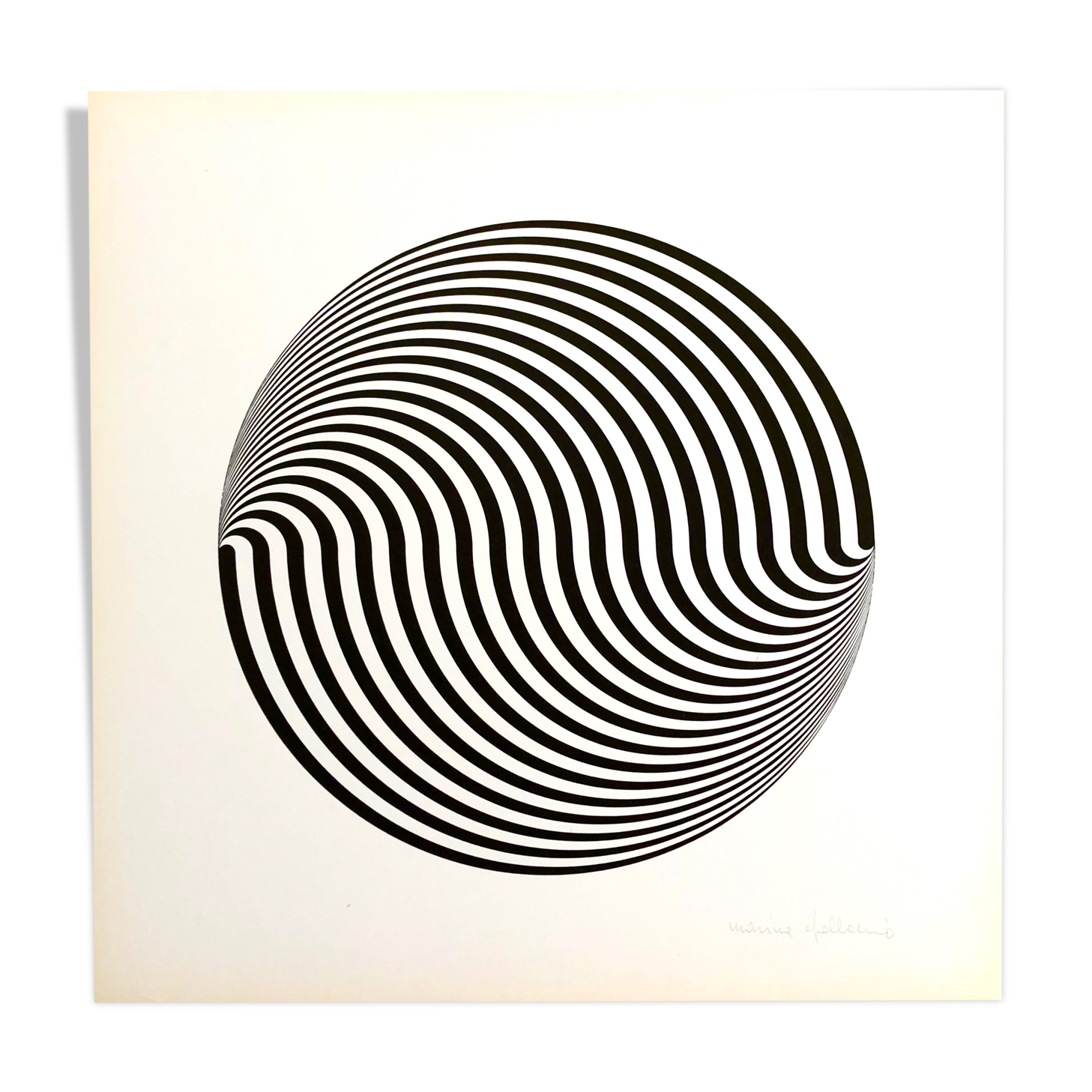 Marina Apollonio: Dinamica Circolare