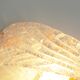Pair of 80s Murano glass 'Foglio' wall lamps