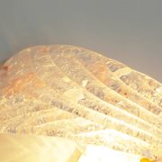 Pair of 80s Murano glass 'Foglio' wall lamps