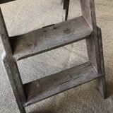 Removable painter's stepladder