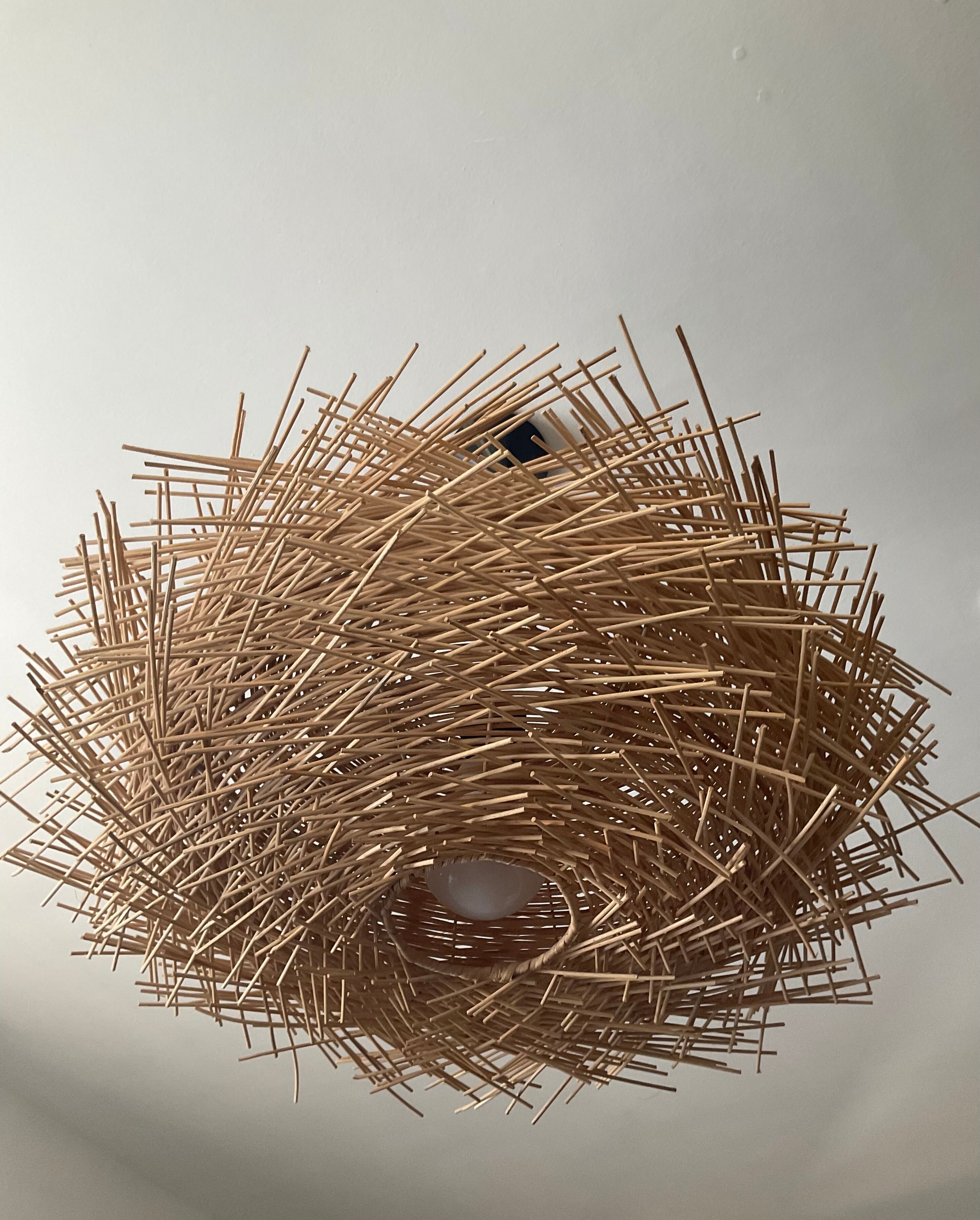 Natural rattan nest suspension