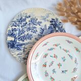 Vintage flat plates green blue pink