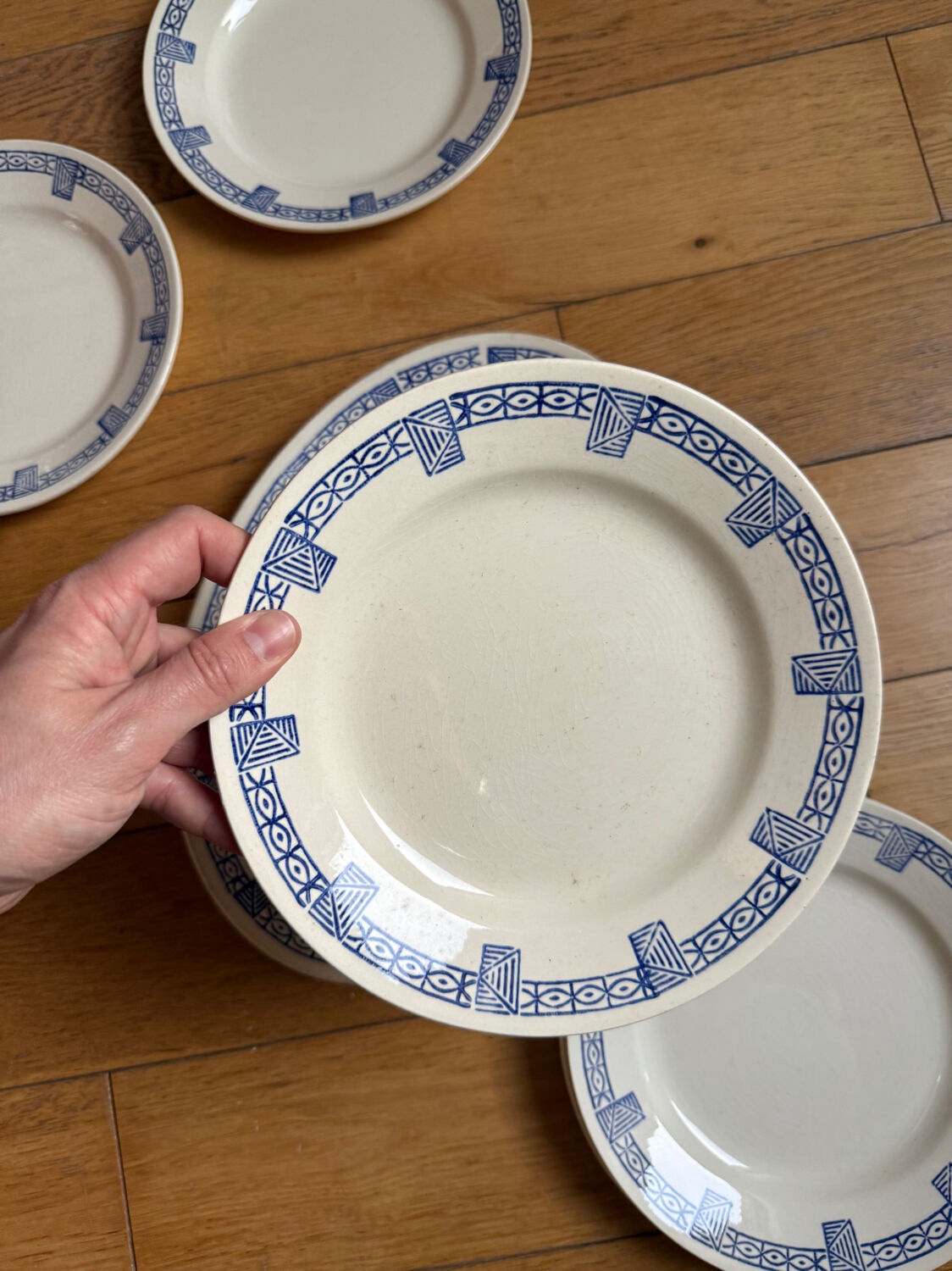 Set of 7 flat plates and 1 dish Lorris Gien