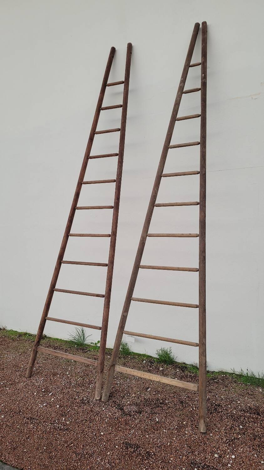 Double ladder for market gardening, fruit harvest, old wooden picking - 3m65