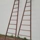 Double ladder for market gardening, fruit harvest, old wooden picking - 3m65