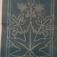 Impression ancienne planche liberty prof. Andreani Isidoro - plantes botanique début 1900